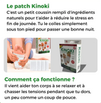 Détox 100% Original plantes : Eliminez douleurs, fatigue & stress